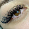 Rapid Fan Mixed Length Lashes - 16 Row